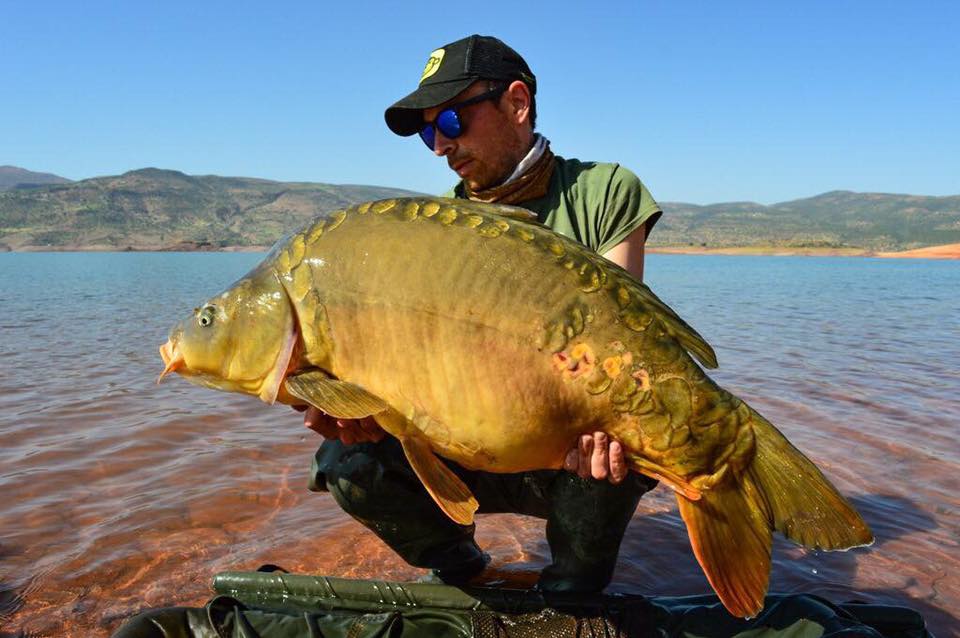 Morocco Carp - April 2017 - Carp fishing in Atlas Mountains