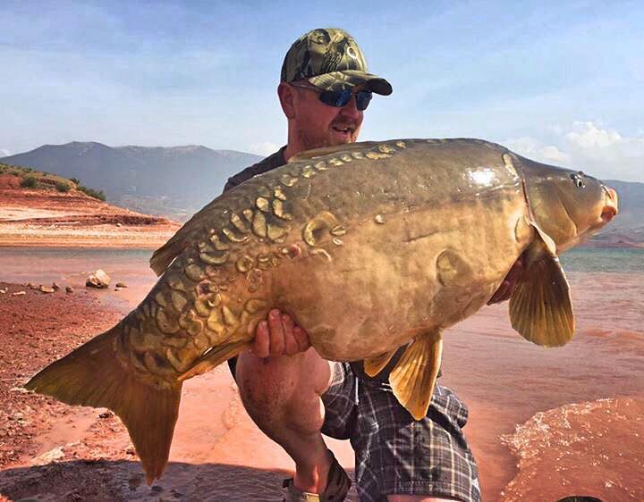 Morocco Carp - April 2017 - Carp fishing in the Atlas Mountains