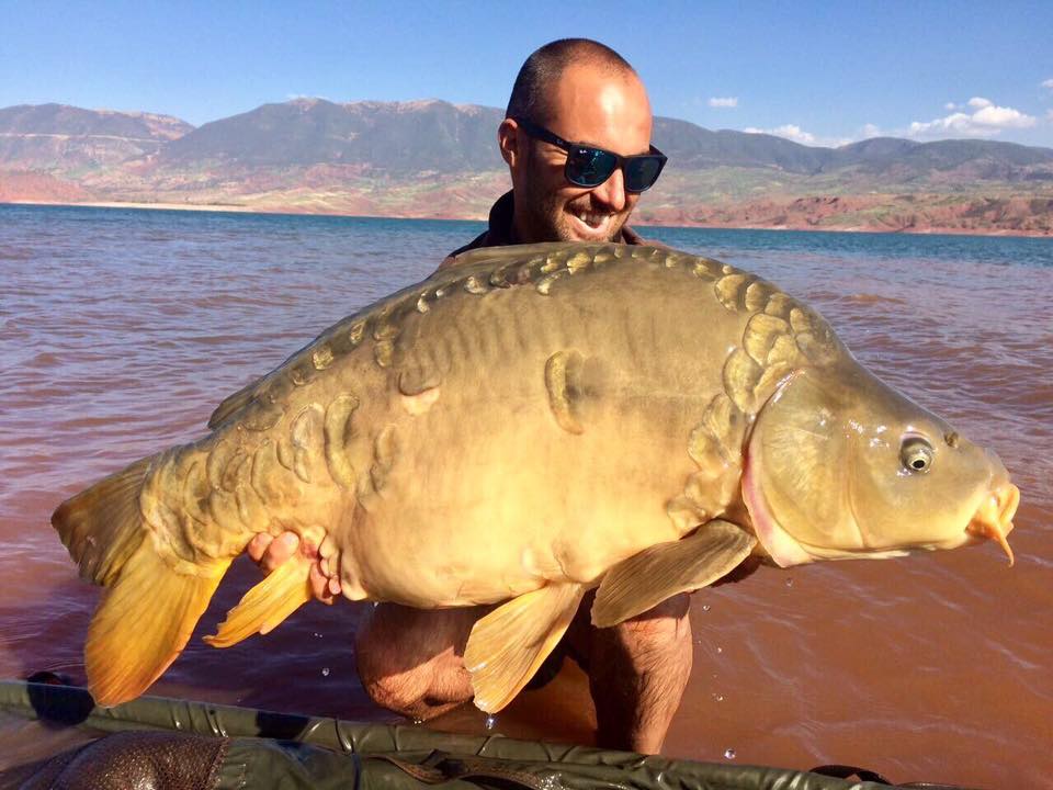 Morocco Carp - April 2017 - Carp fishing in the Atlas Mountains