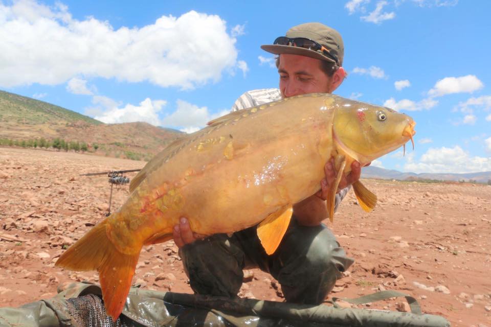 Morocco Carp - April 2017 - Carp fishing in the Atlas Mountains