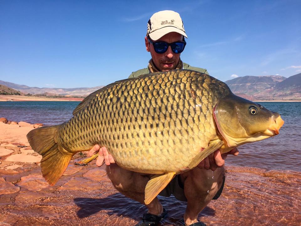 Morocco Carp - April 2017 - Carp fishing in the Atlas Mountains