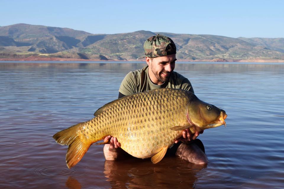 Morocco Carp - April 2017 - Carp fishing in the Atlas Mountains