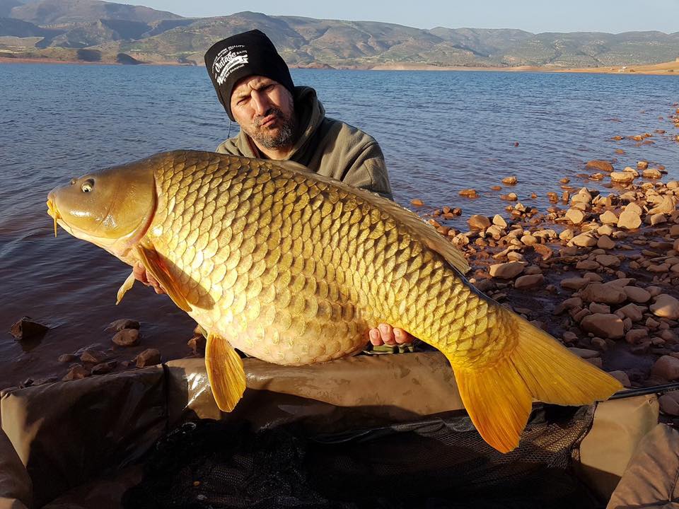 Morocco Carp - April 2017 - Carp fishing in the Atlas Mountains