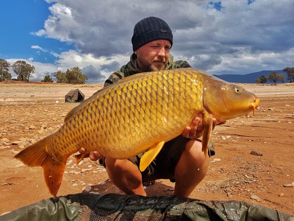 Morocco Carp - April 2017 - Carp fishing in the Atlas Mountains