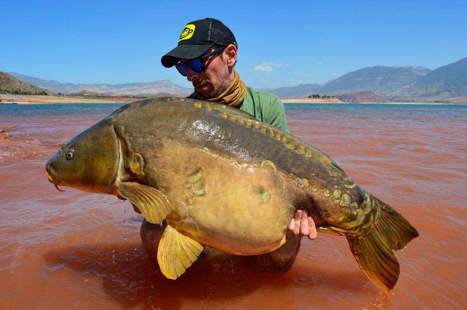 Morocco Carp - April 2017 - Carp fishing in the Atlas Mountains