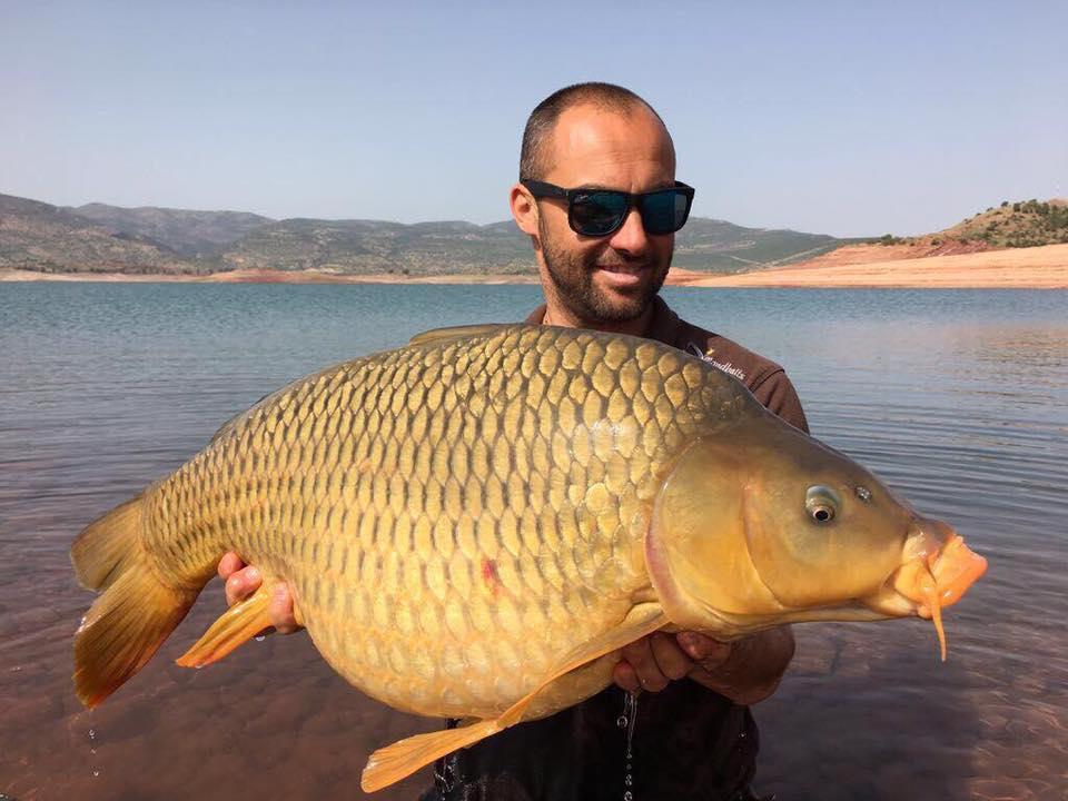 Morocco Carp - April 2017 - Carp fishing in Atlas Mountains