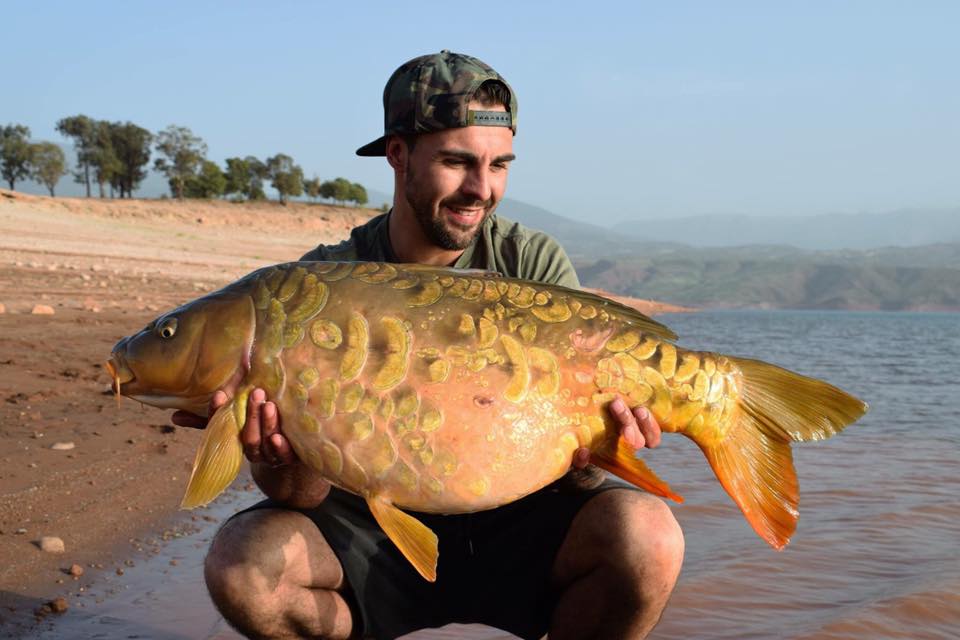 Morocco Carp - April 2017 - Carp fishing in Atlas Mountains