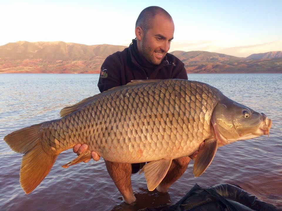 Morocco Carp - April 2017 - Carp fishing in Atlas Mountains