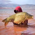 Gareth-Bowen-image