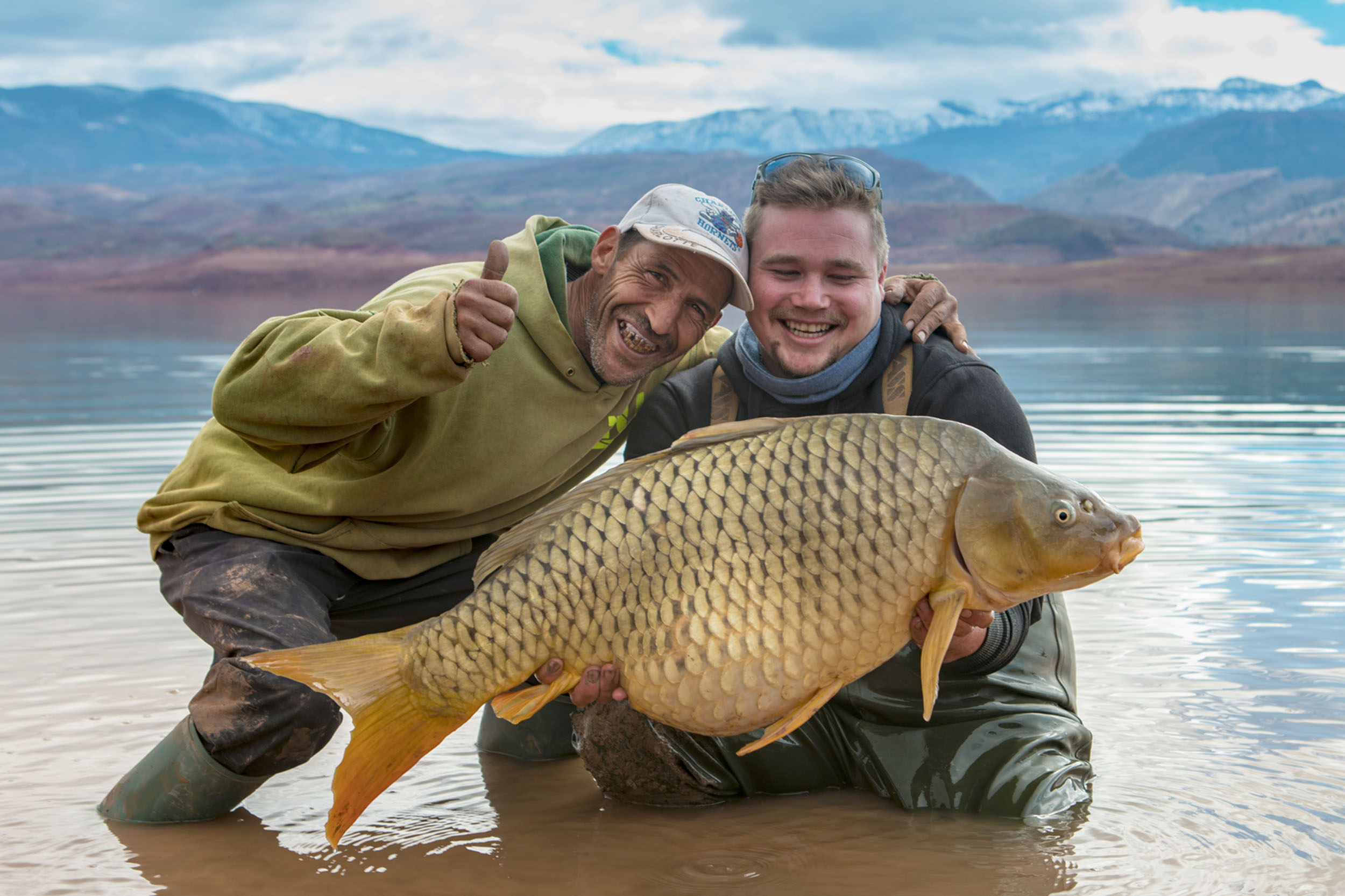 Idaho Desert Carp 